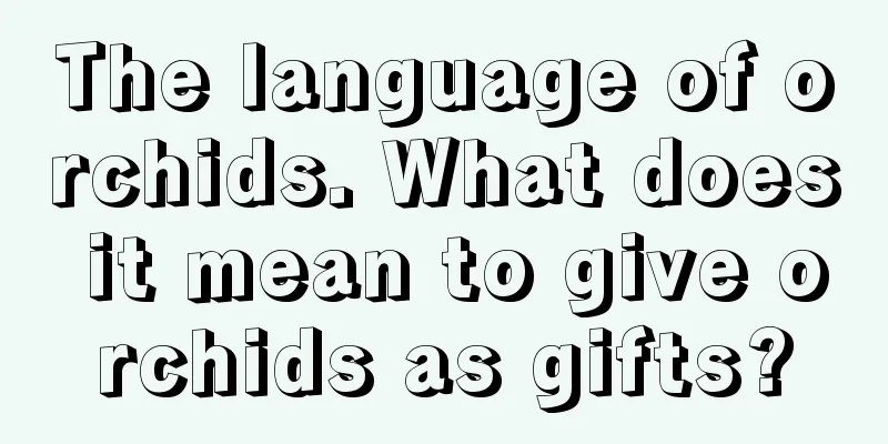 The language of orchids. What does it mean to give orchids as gifts?