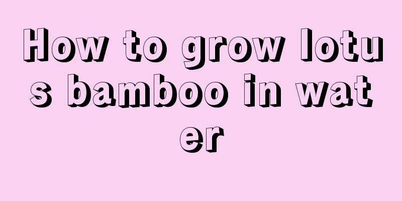 How to grow lotus bamboo in water