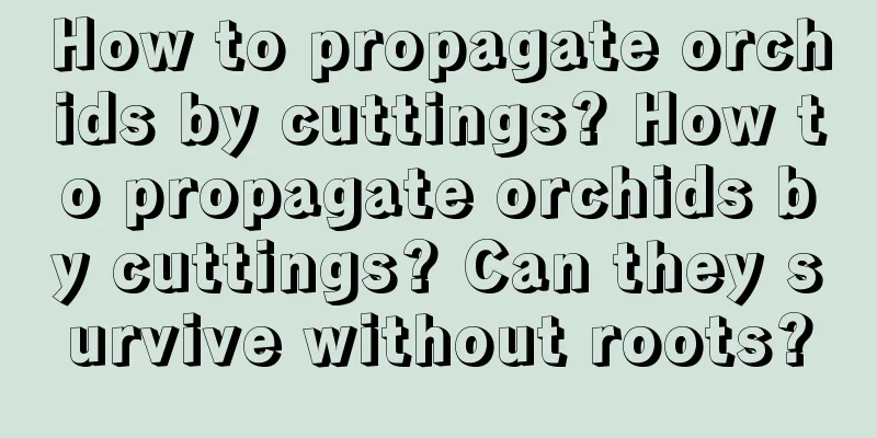 How to propagate orchids by cuttings? How to propagate orchids by cuttings? Can they survive without roots?