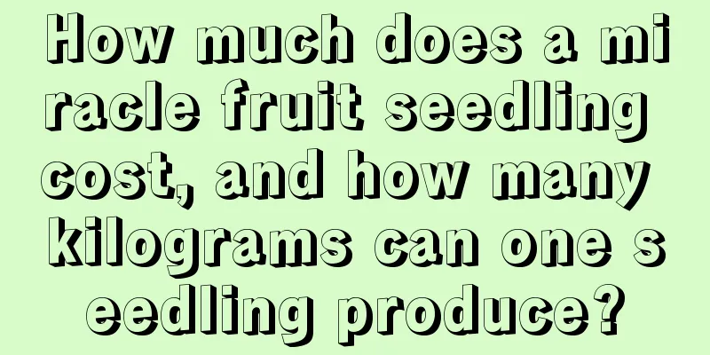 How much does a miracle fruit seedling cost, and how many kilograms can one seedling produce?