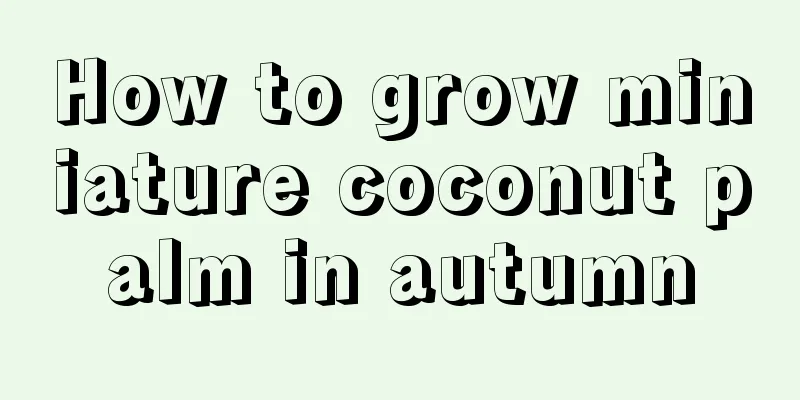 How to grow miniature coconut palm in autumn