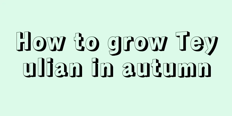 How to grow Teyulian in autumn