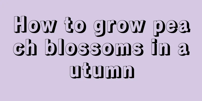 How to grow peach blossoms in autumn