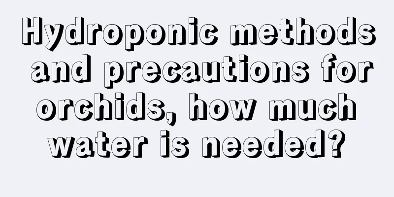 Hydroponic methods and precautions for orchids, how much water is needed?