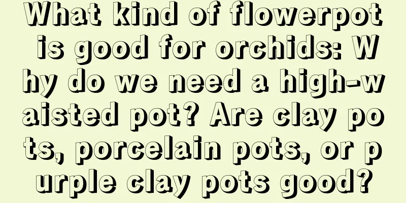 What kind of flowerpot is good for orchids: Why do we need a high-waisted pot? Are clay pots, porcelain pots, or purple clay pots good?