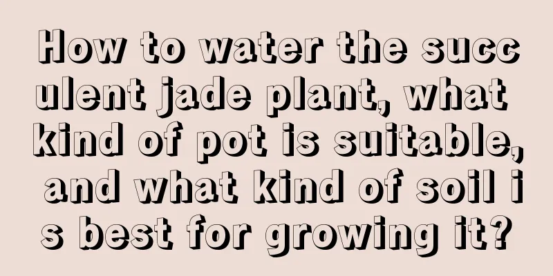 How to water the succulent jade plant, what kind of pot is suitable, and what kind of soil is best for growing it?