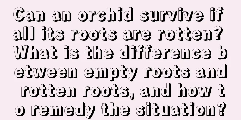 Can an orchid survive if all its roots are rotten? What is the difference between empty roots and rotten roots, and how to remedy the situation?