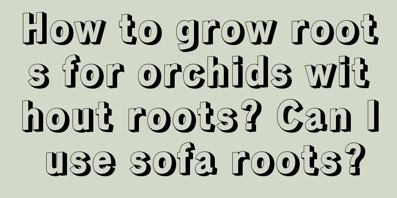 How to grow roots for orchids without roots? Can I use sofa roots?