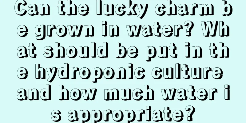 Can the lucky charm be grown in water? What should be put in the hydroponic culture and how much water is appropriate?