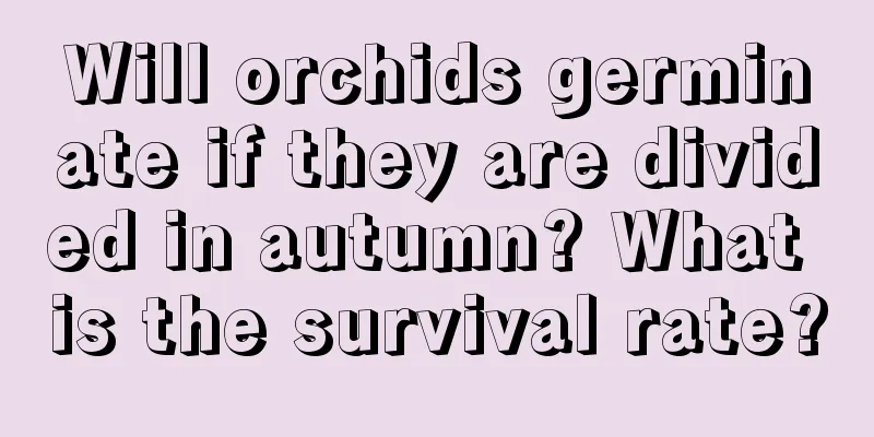 Will orchids germinate if they are divided in autumn? What is the survival rate?