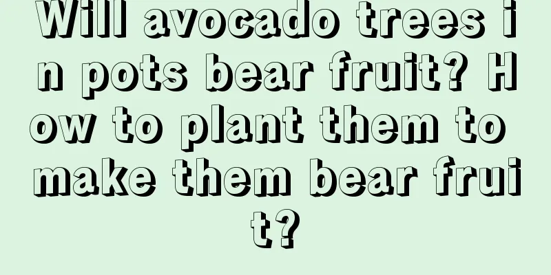 Will avocado trees in pots bear fruit? How to plant them to make them bear fruit?