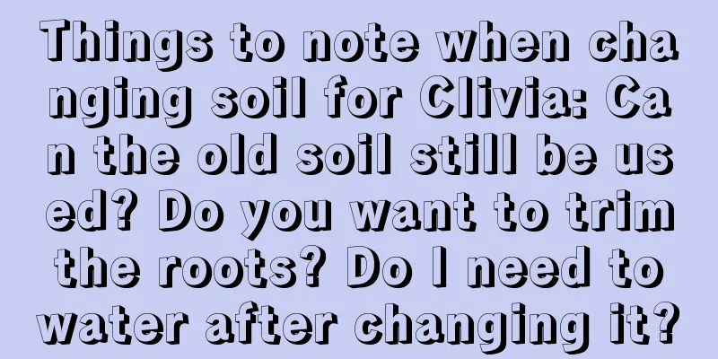 Things to note when changing soil for Clivia: Can the old soil still be used? Do you want to trim the roots? Do I need to water after changing it?