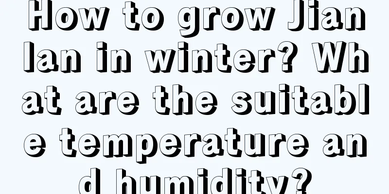 How to grow Jianlan in winter? What are the suitable temperature and humidity?