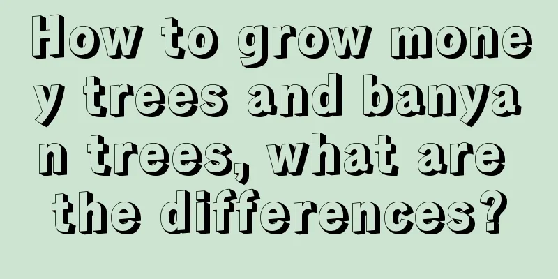 How to grow money trees and banyan trees, what are the differences?