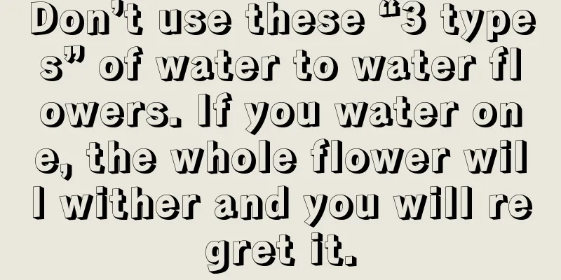 Don’t use these “3 types” of water to water flowers. If you water one, the whole flower will wither and you will regret it.