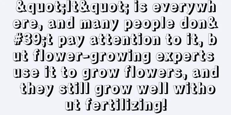 "It" is everywhere, and many people don't pay attention to it, but flower-growing experts use it to grow flowers, and they still grow well without fertilizing!