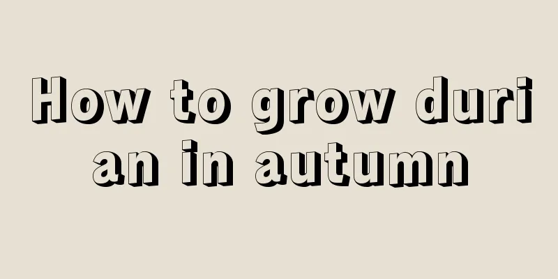 How to grow durian in autumn