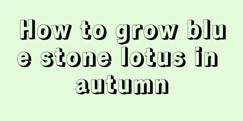 How to grow blue stone lotus in autumn