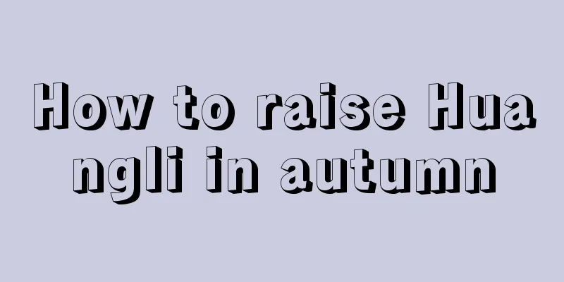 How to raise Huangli in autumn