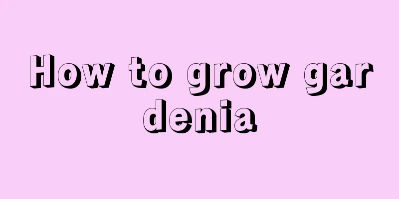 How to grow gardenia