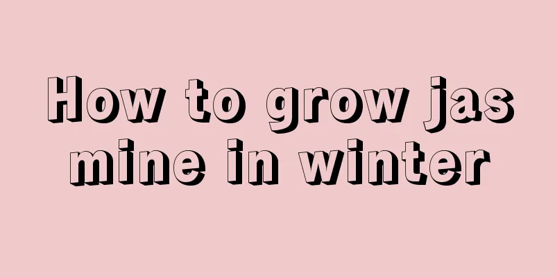 How to grow jasmine in winter