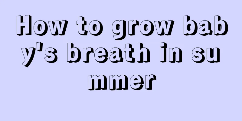 How to grow baby's breath in summer