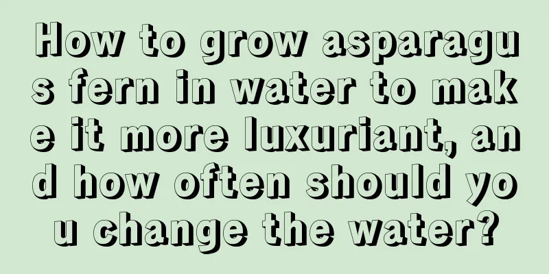 How to grow asparagus fern in water to make it more luxuriant, and how often should you change the water?