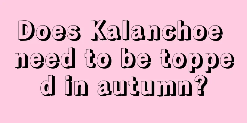 Does Kalanchoe need to be topped in autumn?