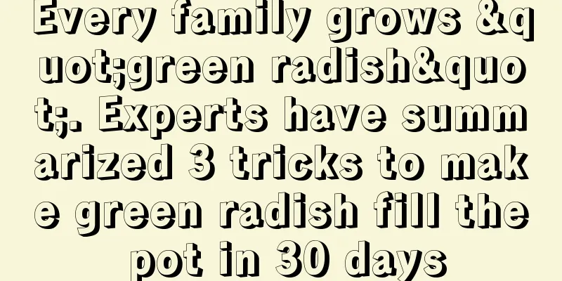 Every family grows "green radish". Experts have summarized 3 tricks to make green radish fill the pot in 30 days