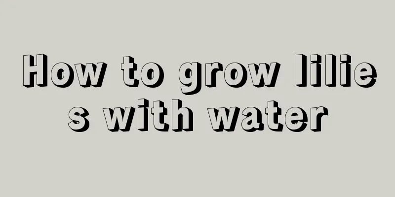 How to grow lilies with water