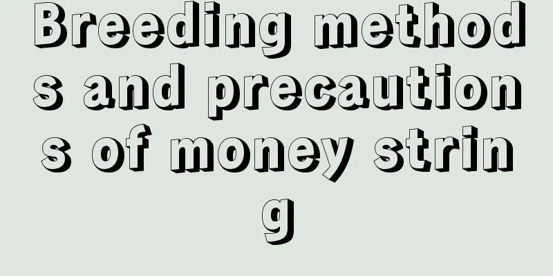 Breeding methods and precautions of money string