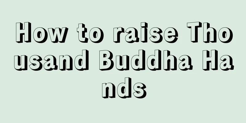 How to raise Thousand Buddha Hands