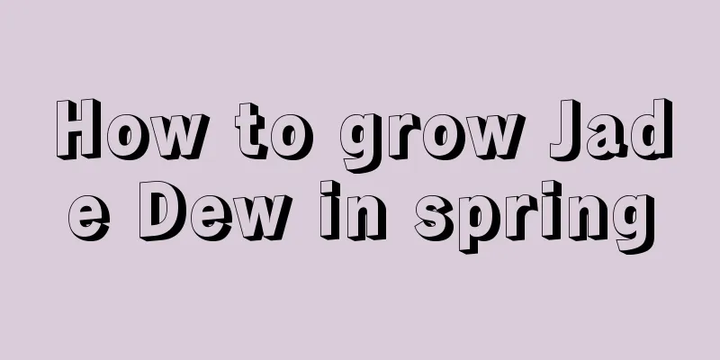 How to grow Jade Dew in spring