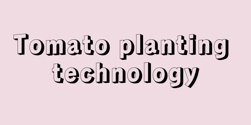 Tomato planting technology