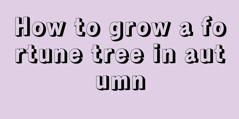 How to grow a fortune tree in autumn