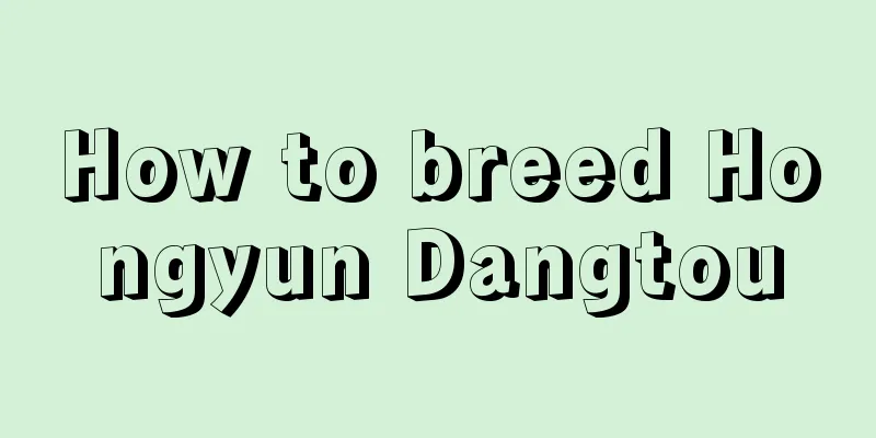 How to breed Hongyun Dangtou