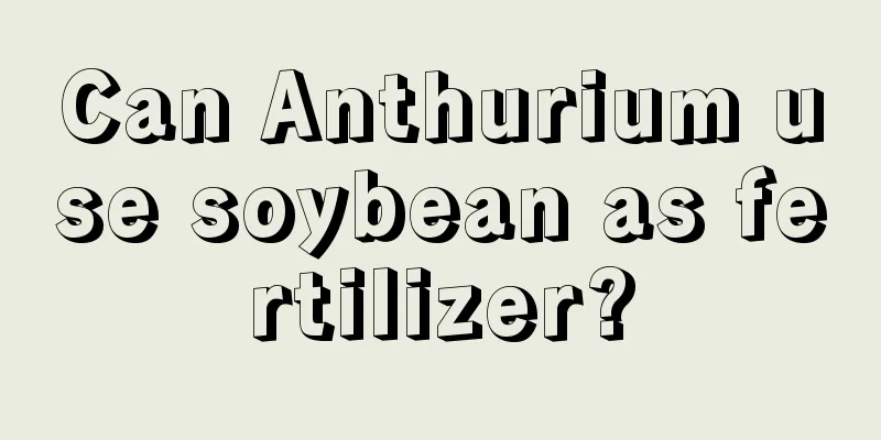 Can Anthurium use soybean as fertilizer?