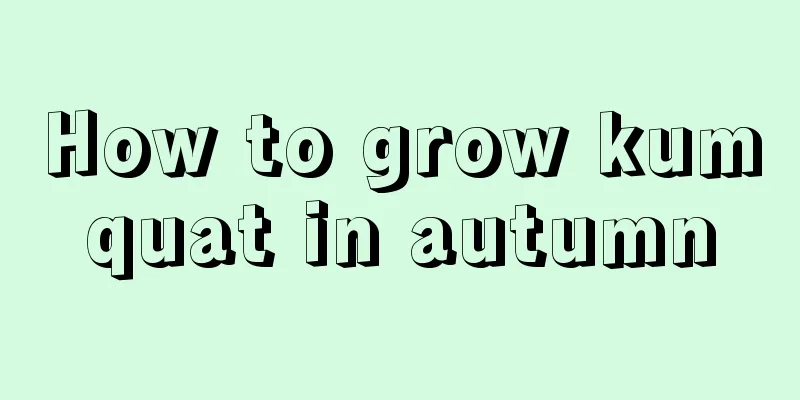 How to grow kumquat in autumn