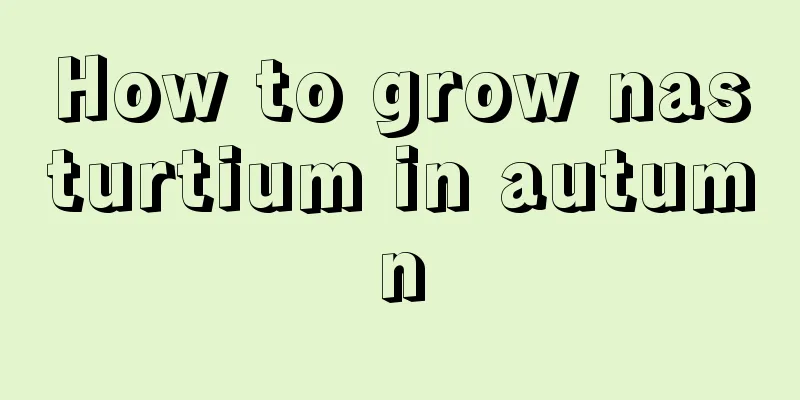 How to grow nasturtium in autumn