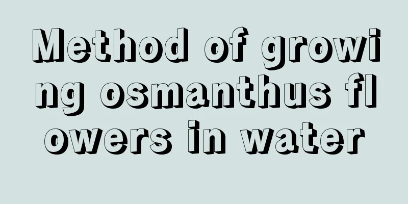 Method of growing osmanthus flowers in water