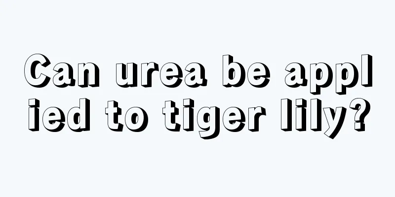 Can urea be applied to tiger lily?