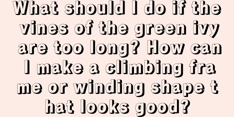 What should I do if the vines of the green ivy are too long? How can I make a climbing frame or winding shape that looks good?