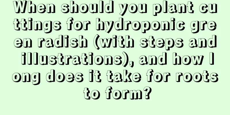 When should you plant cuttings for hydroponic green radish (with steps and illustrations), and how long does it take for roots to form?