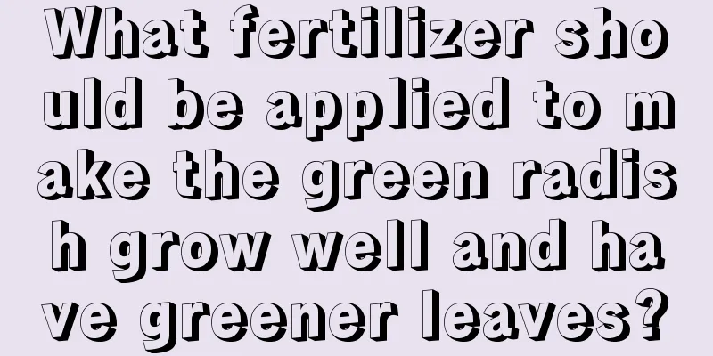 What fertilizer should be applied to make the green radish grow well and have greener leaves?