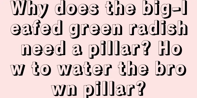 Why does the big-leafed green radish need a pillar? How to water the brown pillar?