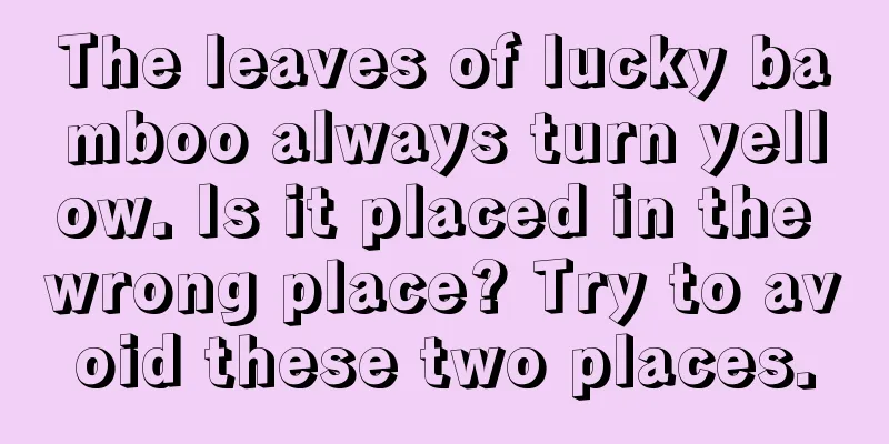 The leaves of lucky bamboo always turn yellow. Is it placed in the wrong place? Try to avoid these two places.