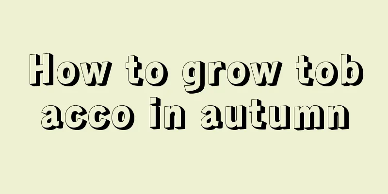 How to grow tobacco in autumn