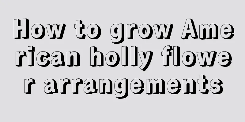 How to grow American holly flower arrangements