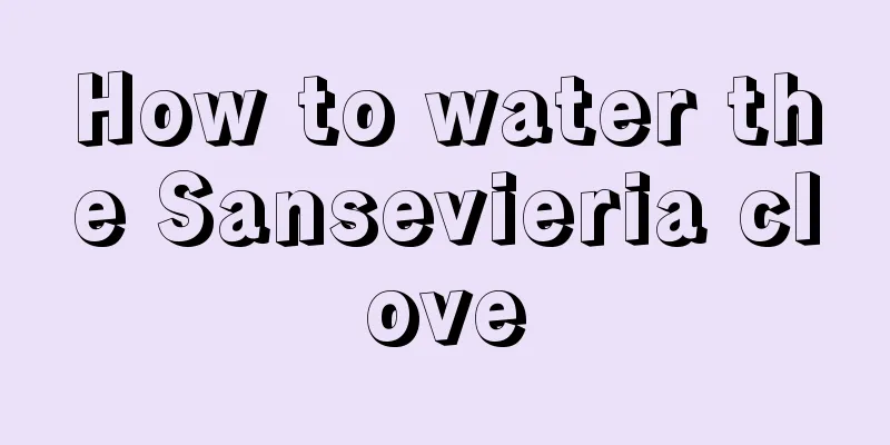 How to water the Sansevieria clove