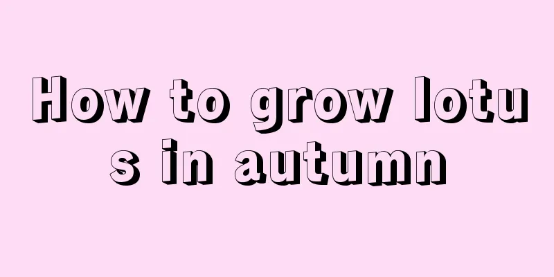 How to grow lotus in autumn